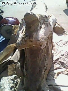 IMG0236A.jpg