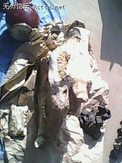 IMG0234A.jpg