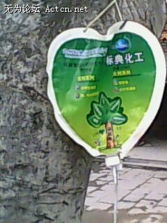 IMG0287A.jpg