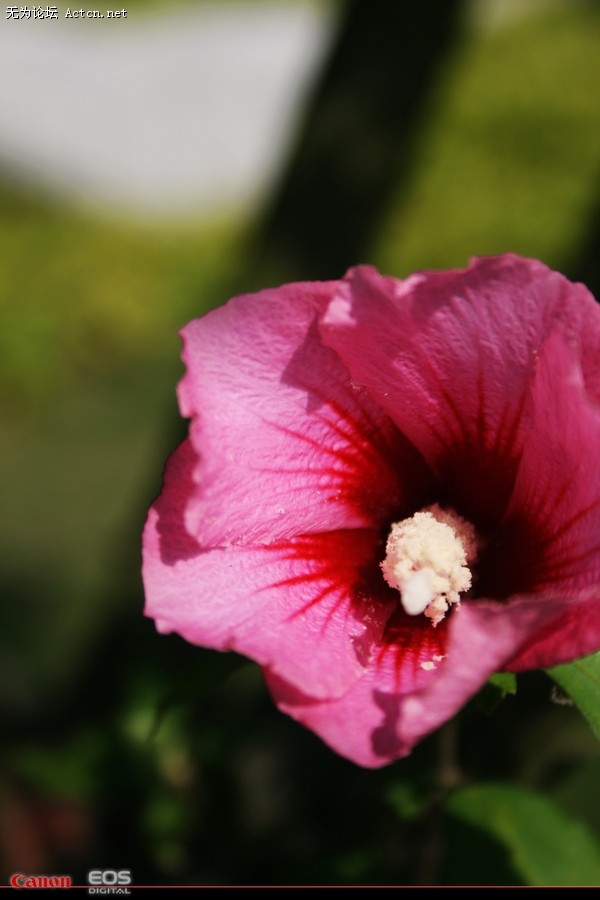 large_8LVc_1857l132091.jpg