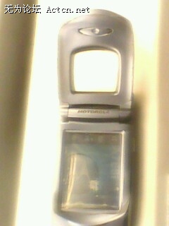 IMG0394A.jpg