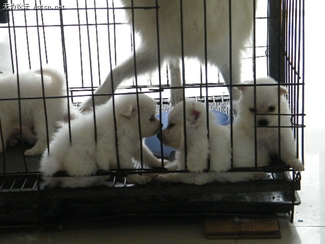 DSCF2264.JPG