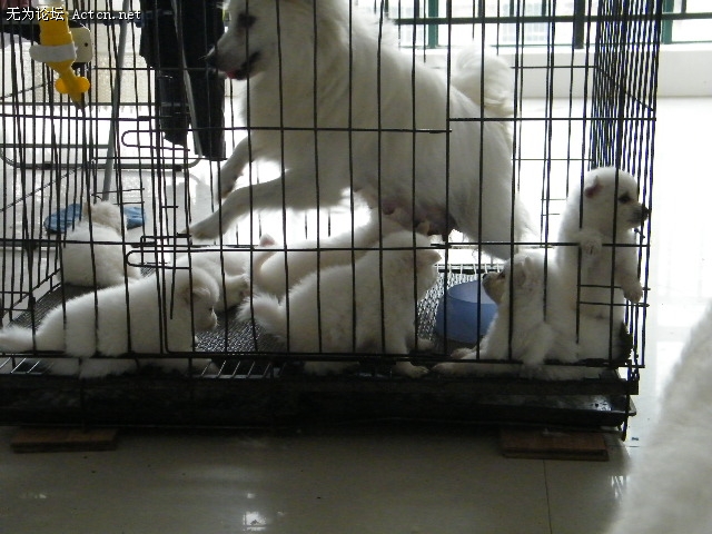 DSCF2266.JPG