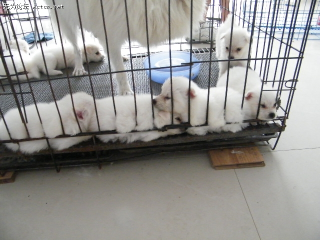DSCF2267.JPG