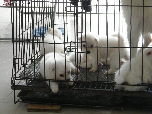 DSCF2265.JPG