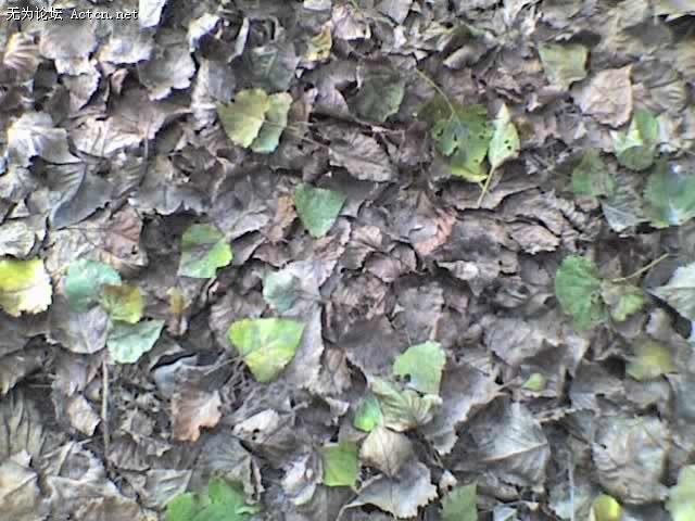 23-08-09_1546.jpg