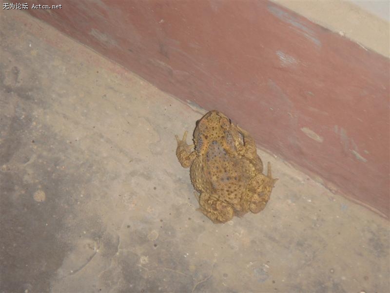 DSC01773 ().JPG