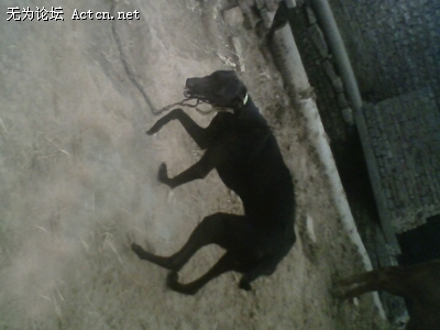 090823192360e70f58cc1bc2cb.jpg