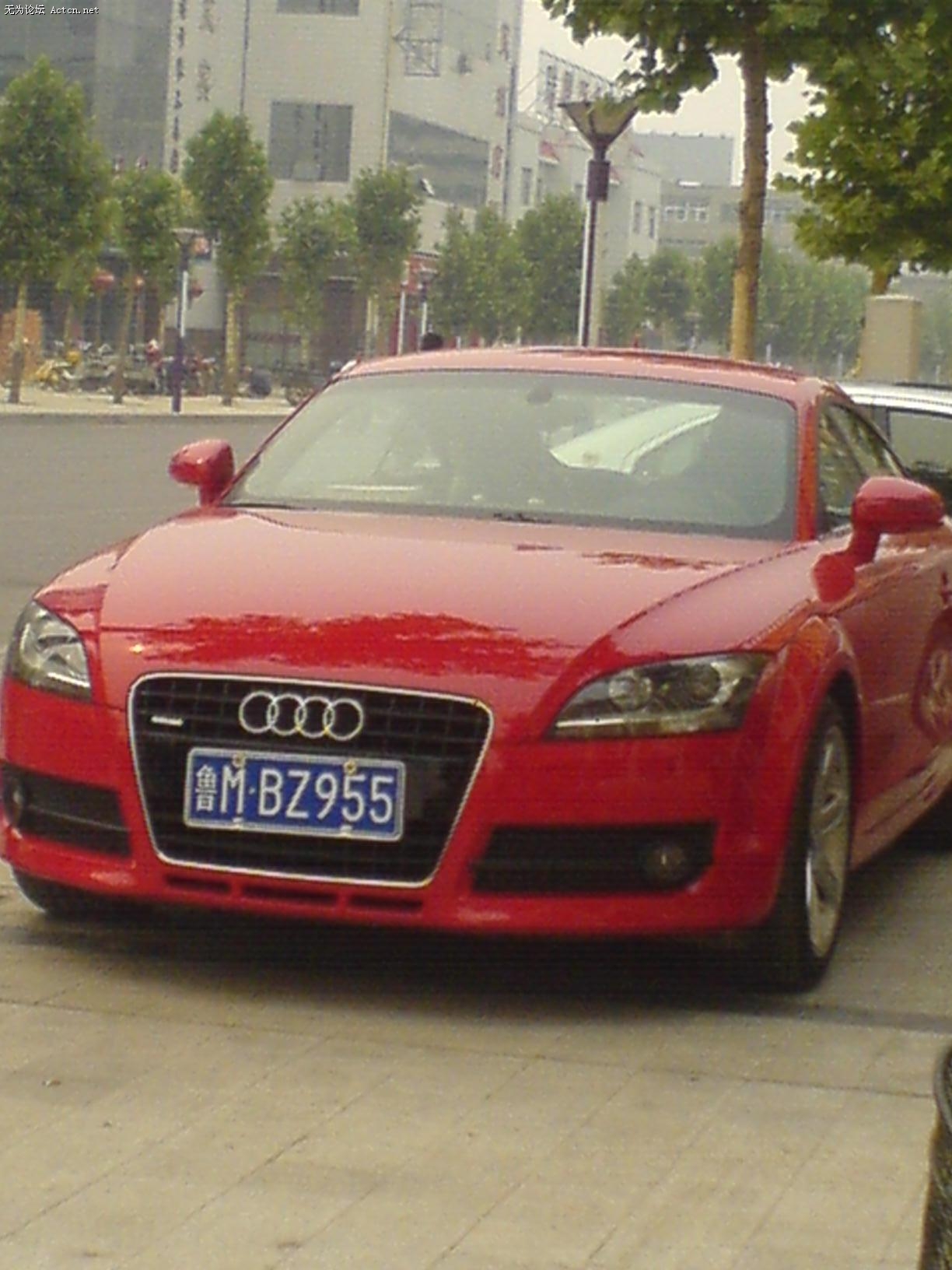 DSC01203.JPG