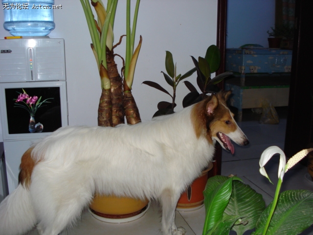 DSC00197.JPG