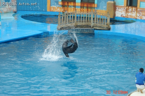 DSC02629.jpg