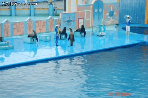 DSC02627.jpg