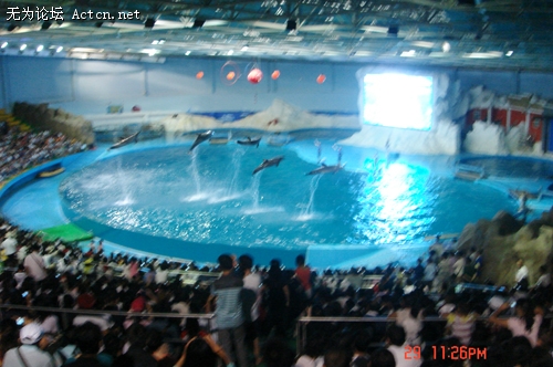 DSC02603.jpg