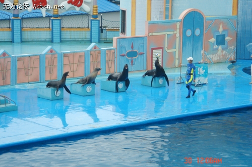 DSC02624.jpg
