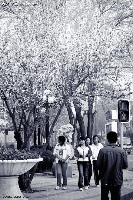 20090413_a11765a6249dd8ca5016qBNAXM9X1xGl.jpg