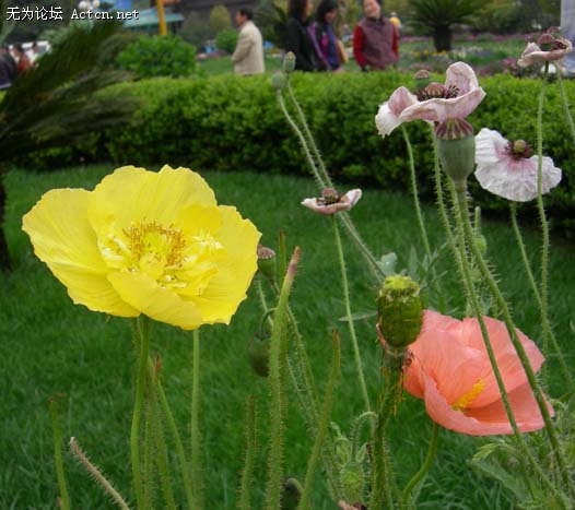 DSCN4277.jpg