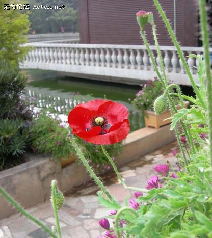 DSCN4274.jpg