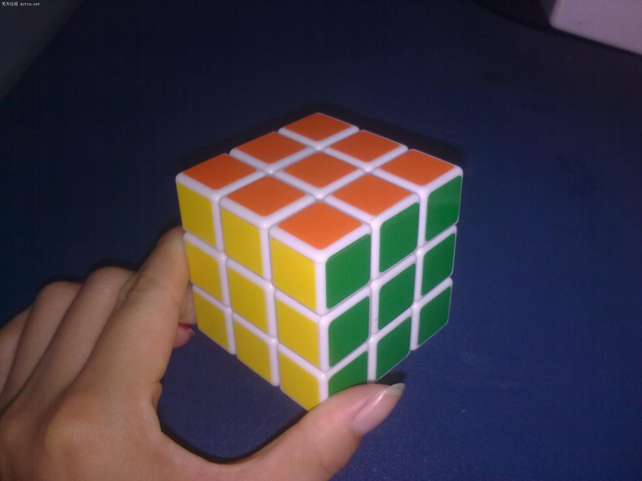 ͼ0473.jpg