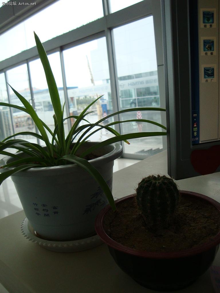 DSC02539.JPG