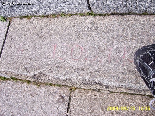 1300.JPG