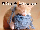 u=1177592731,4121873580&fm=3&gp=43.jpg