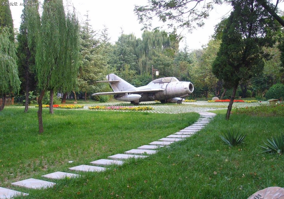 555.JPG
