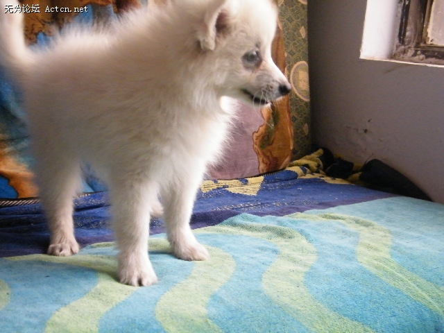 DSCF3047.JPG