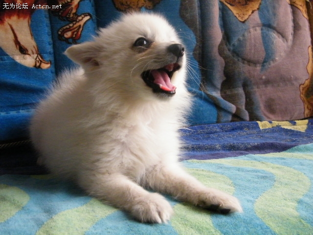 DSCF3060.JPG