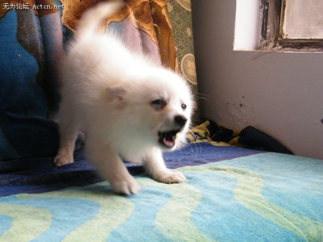 DSCF3057.JPG