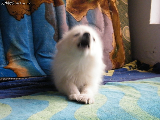 DSCF3055.JPG