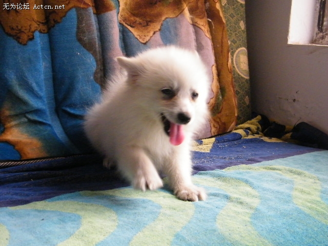 DSCF3054.JPG