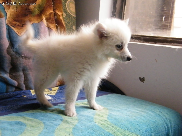 DSCF3046.JPG