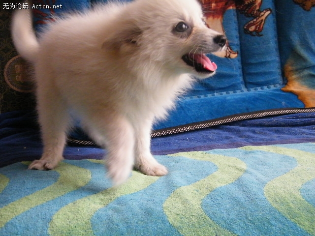 DSCF3041.JPG