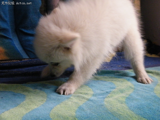 DSCF3034.JPG