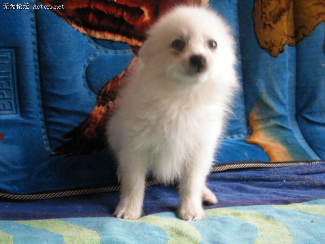 DSCF3051.JPG