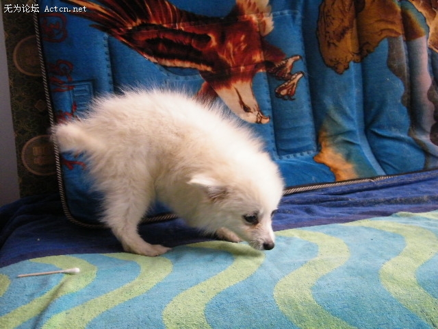 DSCF3032.JPG