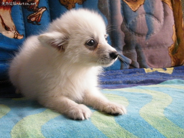DSCF3059.JPG