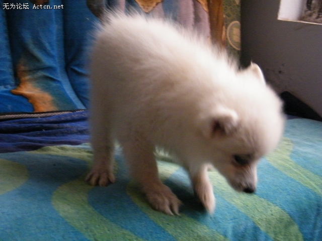 DSCF3039.JPG