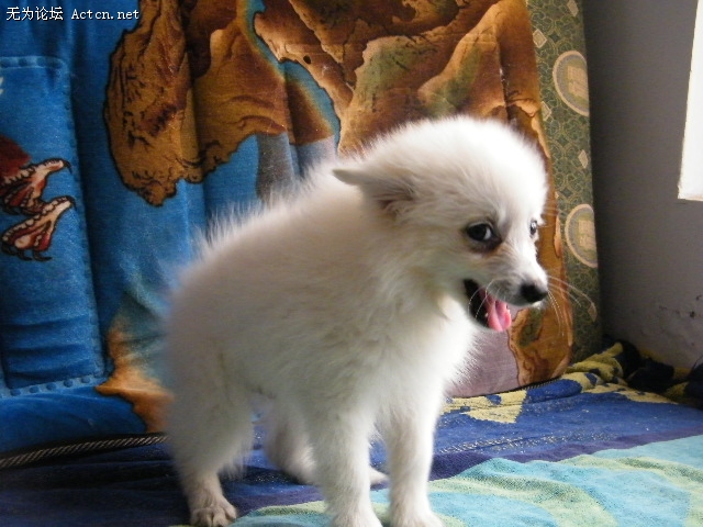 DSCF3048.JPG