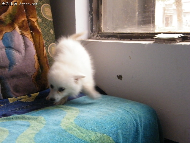 DSCF3043.JPG