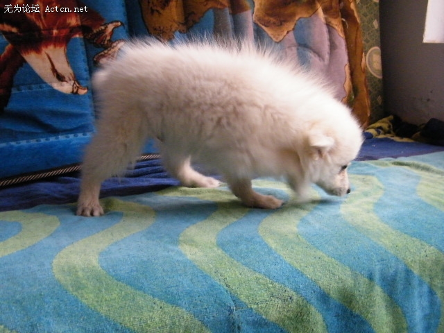 DSCF3033.JPG