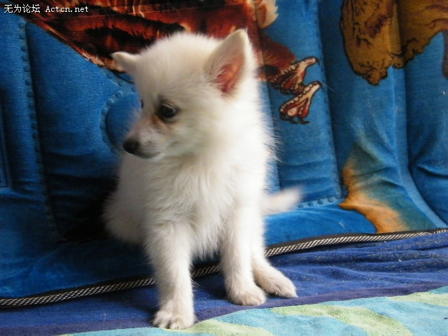 DSCF3052.JPG