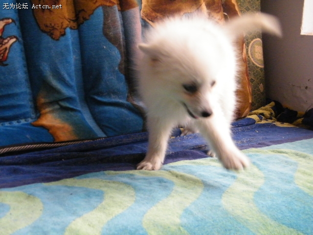 DSCF3053.JPG