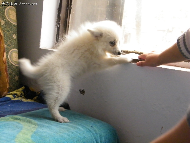 DSCF3038.JPG