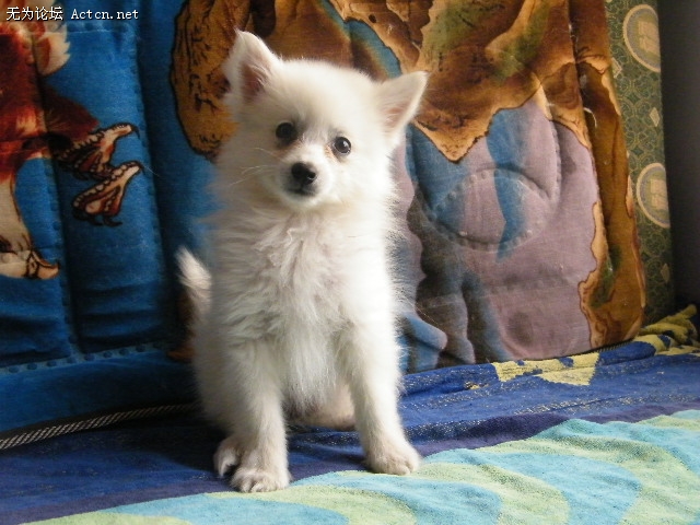DSCF3049.JPG