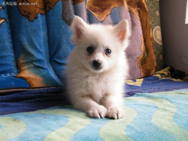 DSCF3056.JPG