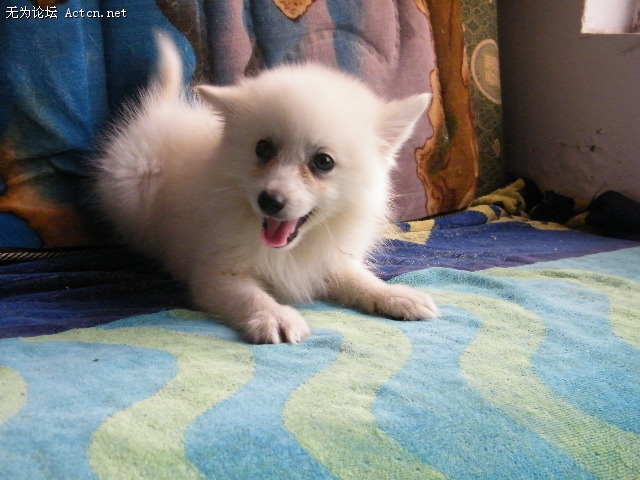 DSCF3058.JPG