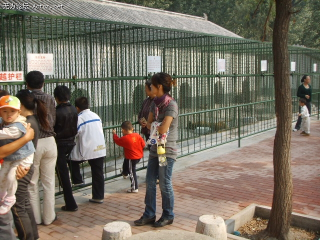 SSM18065.JPG