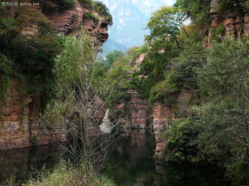 P1020570.JPG