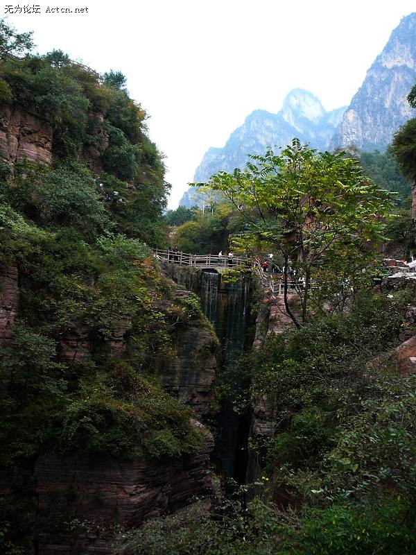 P1020566.JPG